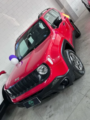 RENEGADE Sport Manual 2019