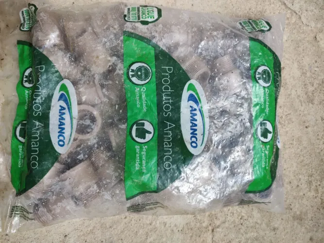 Conexões rosca e cola ¾