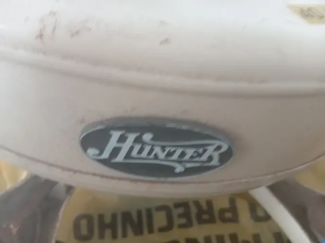 2 Ventiladores Hunter grande 