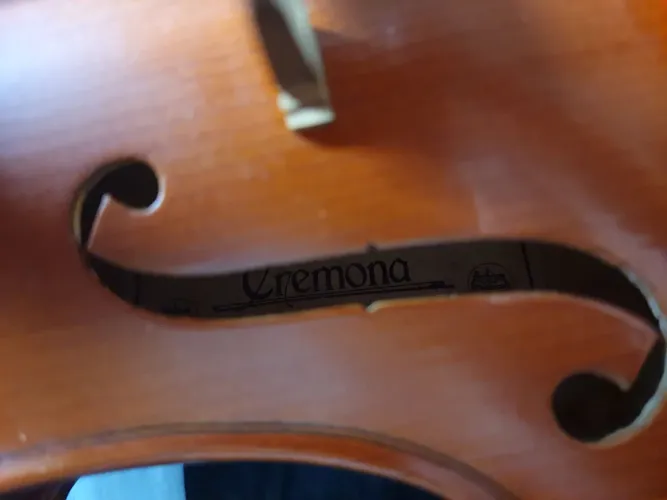 Viola Cremona