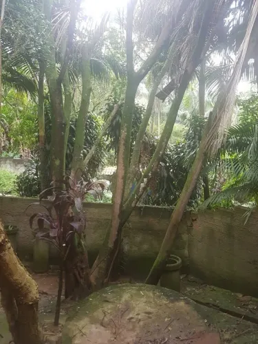Casa de Condominio em Diadema