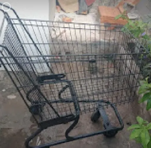 Carrinho de supermercado 100