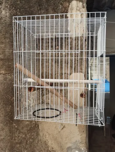Gaiola pouco tempo de uso