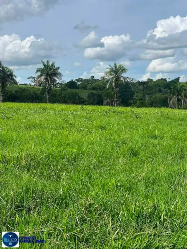 Chácara de 10 Alqueires na região de São Luis de Montes Belos - GO