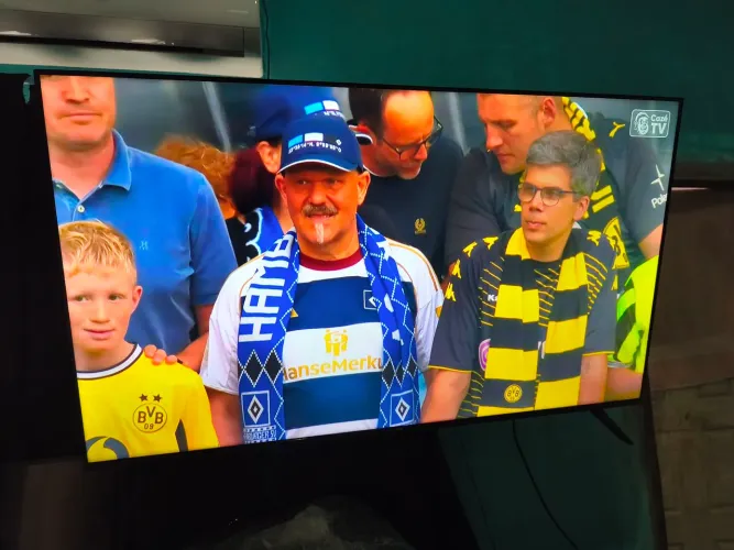 Smart tv TCL 55 polegadas 4k HDR novinha