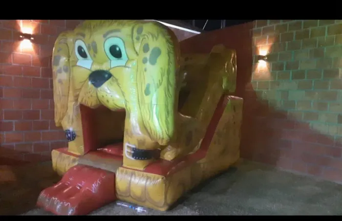 Tobogã de cachorro