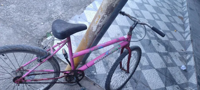Bicicleta
