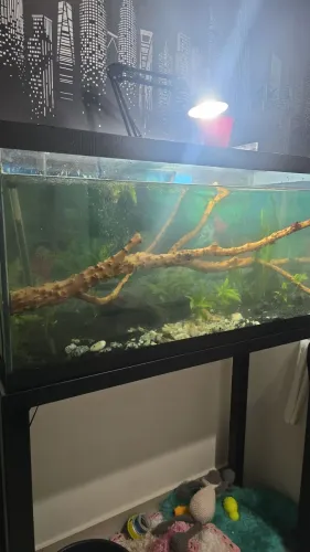 Aquário 200 Litros Completo BARATO
