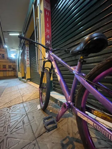 Bicicleta do grau (freeride)