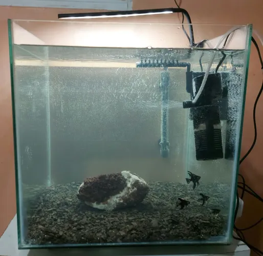 Aquario 110 Lts +1 filtro novo 350 L/h +1 filtro 600 L/h+ luminaria inteligente+aquecedor