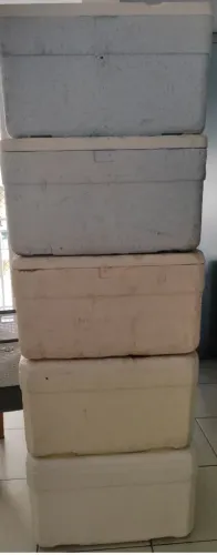 Caixa termica de isopor 60L