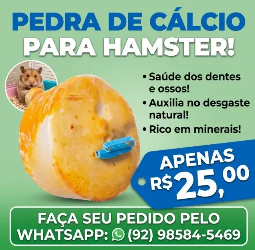pedra de cálcio para hamster