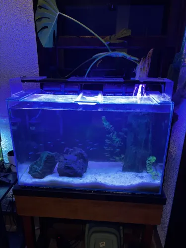 AQUÁRIO 120L COM MÓVEL - PREÇO PRA IR EMBORA