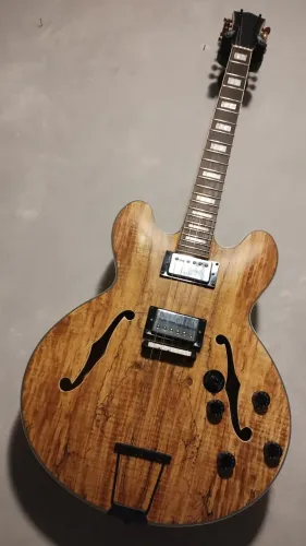 Guitarra 10 cordas semi acústica sertaneja 