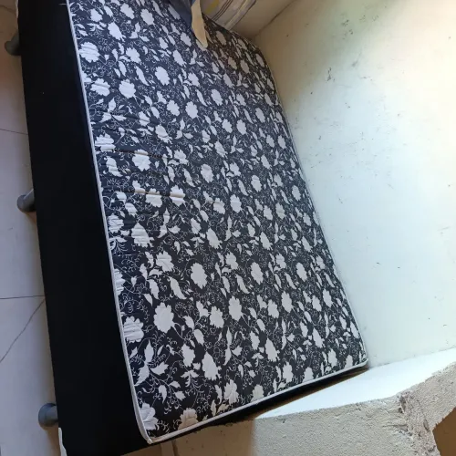 Cama