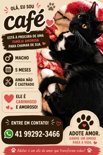Doação responsável