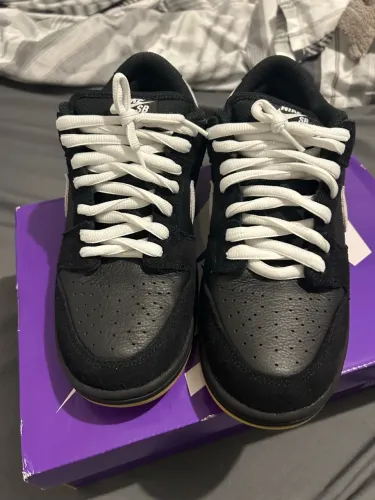 Tênis Nike Dunk Low Pro