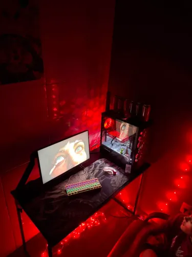 Pc gamer