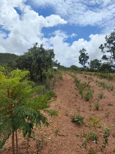 Mini chácaras Ribeirão das lajes 