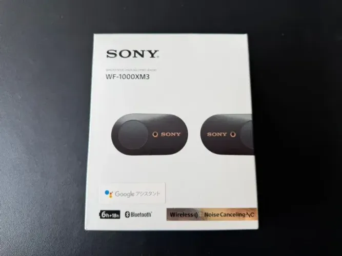 Sony WF-1000XM3