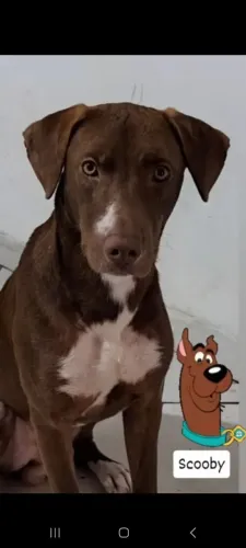 Doação responsável 