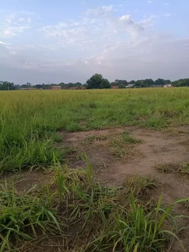 Vendesse Terreno