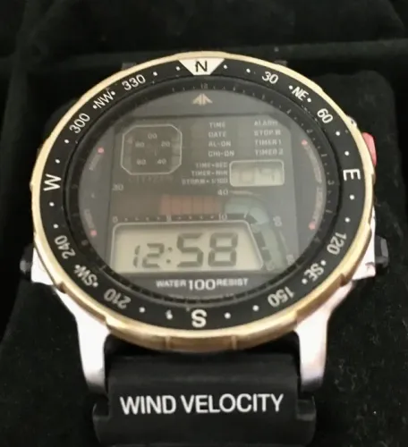 Citizen Windsurf D060