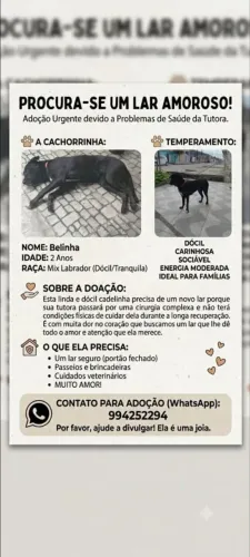 Doação Responsável