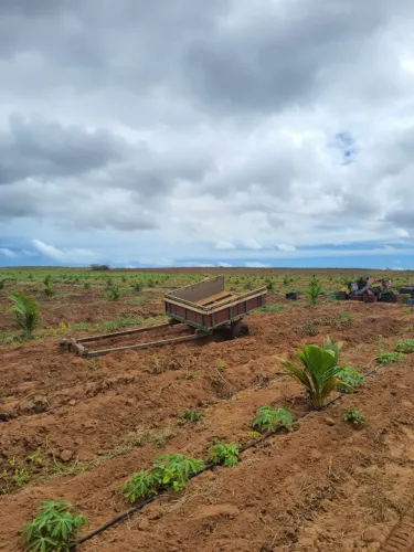 Fazenda/Sítio/Chácara para venda tem 2 metros quadrados em Centro - Touros - Rio Grande do