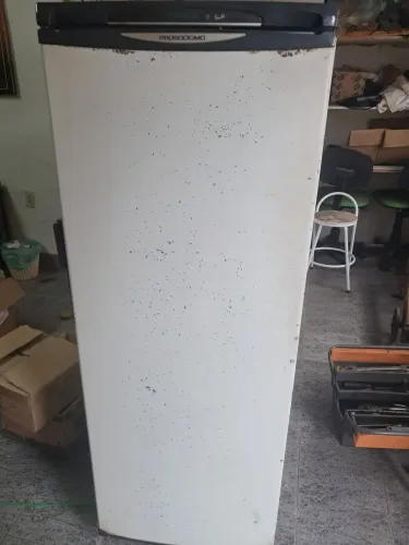 Refrigerador prosdócimo R12