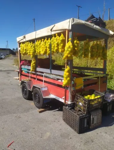 A CARRETINHA QUE TRABALHA POR VOCÊ!