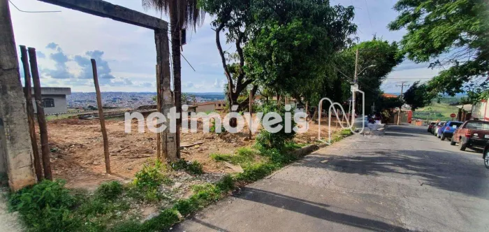 Venda Lote-Área-Terreno Vera Cruz Belo Horizonte
