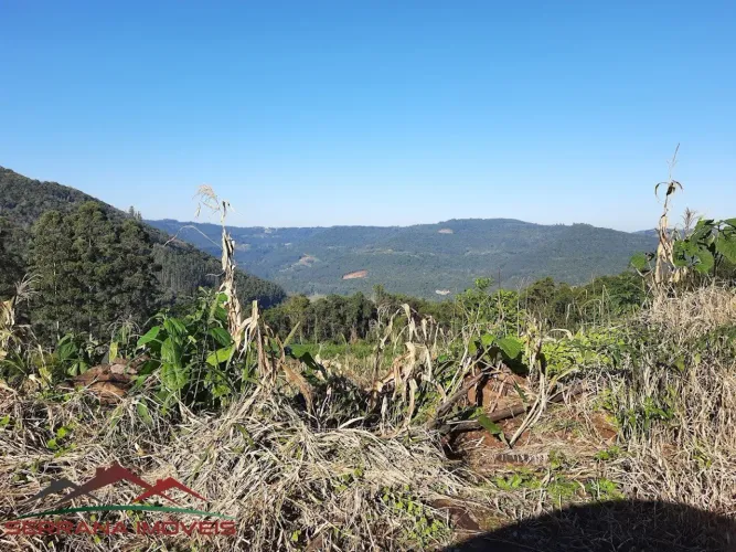 SITIO RURAL em Nova Petrópolis - RS, Fazenda Pirajá