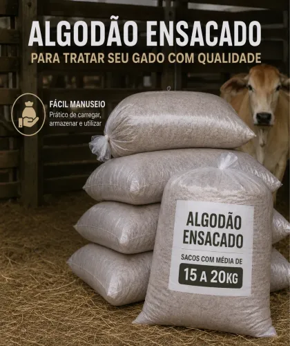 Algodão pra gado