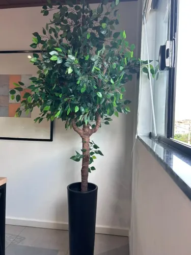 Planta artificial árvore ficus 