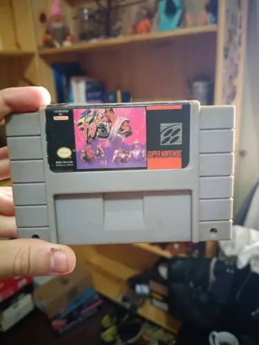 Lote snes