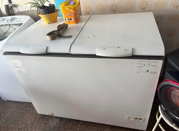 freezer cônsul