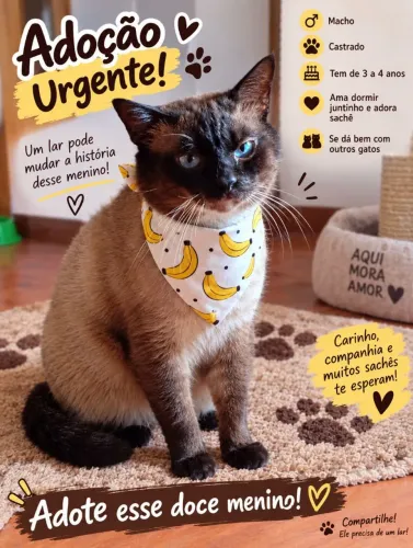 Adoção urgente