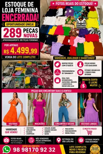 ESTOQUE DE LOJA FEMININA ENCERRADA- 289 PEÇAS