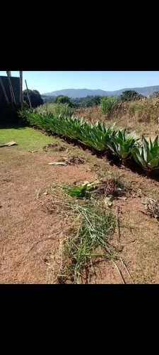 Jardinagem e limpeza de Piscina