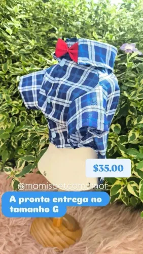 Roupa pet junina