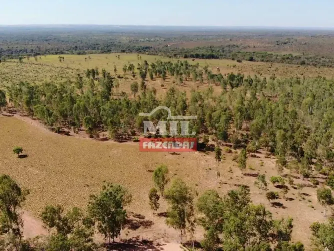 Fazenda 800 alqueires (3.872 hectares ) Tupiratins - TO