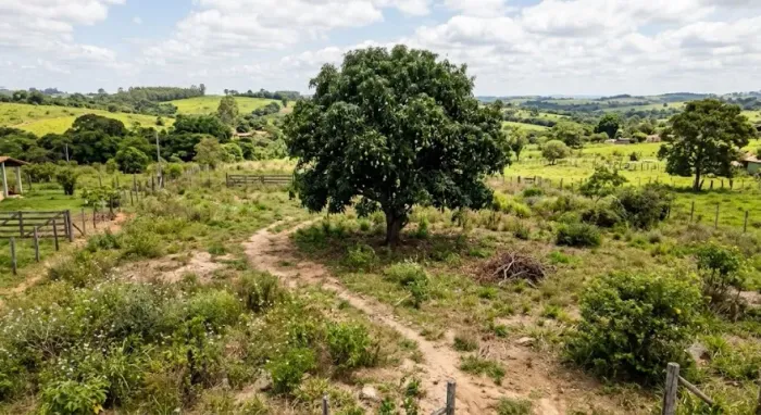 Terreno em área de chacara 500 m², dentro da cidade, próximo ao aeroporto