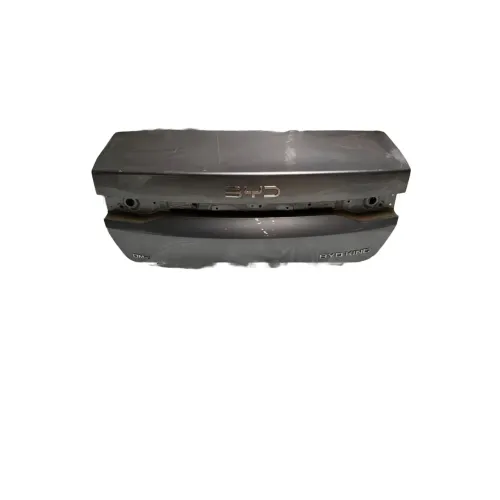 Tampa Traseira Byd King 2023 2024 2025 Original