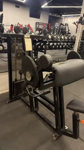 Máquina BÍCEPS technogym