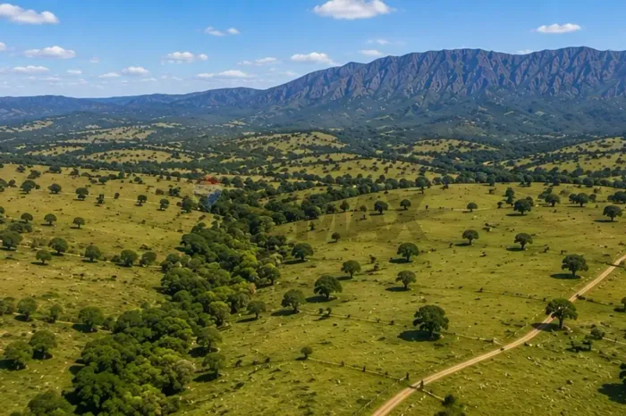 Imóvel para venda com 205 metros quadrados em Centro - Goiás - GO