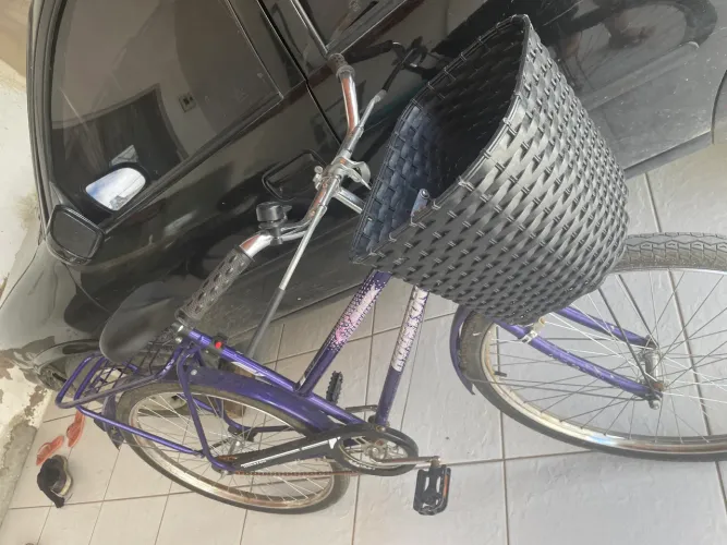 Bicicleta Roxa
