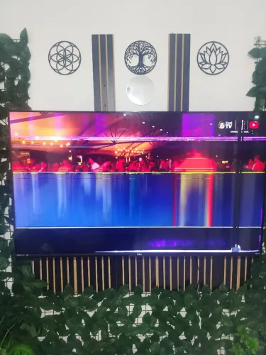 Televisão Roku 50 polegadas 4k Philco