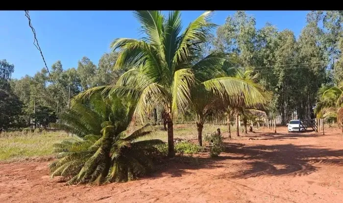Oportunidade Unica