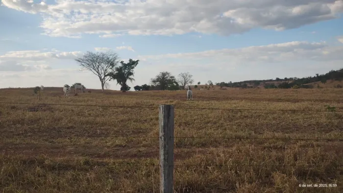 Fazenda de 455 alqueires em São Luís Montes Belos-GO